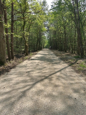 LEMAIRE TP | Travaux de Terrassement - Création de chemin d'accès | La Ferté-Beauharnais