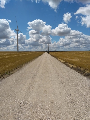 LEMAIRE TP | Travaux de Terrassement - Création de chemin d'accès | La Ferté-Beauharnais